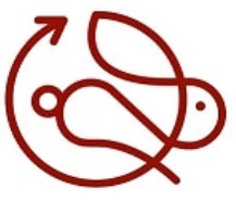 لوگوی کیان